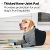 image:imageLelepet Dog Recovery Suit for Front Legs Dog Sleeve to Stop Licking Black LBlack