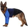 image:imageLelepet Dog Recovery Suit for Front Legs Dog Sleeve to Stop Licking Black LBlue