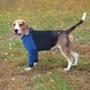 image:imageLelepet Dog Recovery Suit for Front Legs Dog Sleeve to Stop Licking Black LBlue