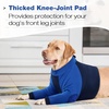 image:imageLelepet Dog Recovery Suit for Front Legs Dog Sleeve to Stop Licking Black LBlue