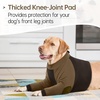 image:imageLelepet Dog Recovery Suit for Front Legs Dog Sleeve to Stop Licking Black LBrown