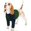 image:imageLelepet Dog Recovery Suit for Front Legs Dog Sleeve to Stop Licking Black LGreen