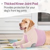 image:imageLelepet Dog Recovery Suit for Front Legs Dog Sleeve to Stop Licking Black LPurple
