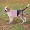 image:imageLelepet Dog Recovery Suit for Front Legs Dog Sleeve to Stop Licking Black LPurple