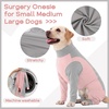image:imageLelepet Dog Suit for Surgery Recovery Full Body Anti Licking Dog OnesiePink