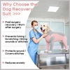 image:imageLelepet Dog Suit for Surgery Recovery Full Body Anti Licking Dog OnesiePink