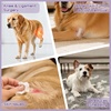 image:imageLelepet Dog Suit for Surgery Recovery Full Body Anti Licking Dog OnesiePurple