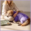 image:imageLelepet Dog Suit for Surgery Recovery Full Body Anti Licking Dog OnesiePurple