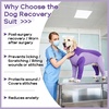 image:imageLelepet Dog Suit for Surgery Recovery Full Body Anti Licking Dog OnesiePurple