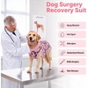 image:imageLelepet Dog Surgical Recovery Suit Male Female Anti Licking Dog OnesiePink Leopard