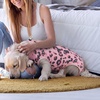 image:imageLelepet Dog Surgical Recovery Suit Male Female Anti Licking Dog OnesiePink Leopard
