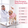 image:imageLelepet Dog Surgical Recovery Suit Male Female Anti Licking Dog OnesiePink Peach