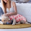 image:imageLelepet Dog Surgical Recovery Suit Male Female Anti Licking Dog OnesiePink Peach