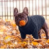 image:imageLelepet Dog Sweater for Medium Dogs Turtleneck Cable Knit Fall Sweatshirt MNavy Blue
