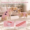 image:imageLelepet Female Dog Diapers for HeatEscapeProof Dog Diaper with SuspendersPink