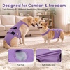 image:imageLelepet Female Dog Diapers for HeatEscapeProof Dog Diaper with SuspendersPurple