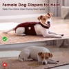 image:imageLelepet Female Dog Diapers for HeatEscapeProof Dog Diaper with SuspendersWine Red
