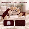 image:imageLelepet Female Dog Diapers for HeatEscapeProof Dog Diaper with SuspendersWine Red
