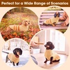 image:imageLelepet Mini Dachshund Sweater with Leash Hole Dachshund Clothes Red XSApricot