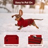 image:imageLelepet Mini Dachshund Sweater with Leash Hole Dachshund Clothes Red XSRed