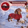 image:imageLelepet Mini Dachshund Sweater with Leash Hole Dachshund Clothes Red XSRed
