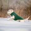 image:imageLelepet Reversible Dog Coat Windproof Dog Puffer Jacket Lightweight VestGreen