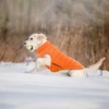 image:imageLelepet Reversible Dog Coat Windproof Dog Puffer Jacket Lightweight VestOrange
