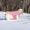 image:imageLelepet Reversible Dog Coat Windproof Dog Puffer Jacket Lightweight VestPink