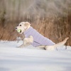 image:imageLelepet Reversible Dog Coat Windproof Dog Puffer Jacket Lightweight VestPurple