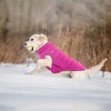 image:imageLelepet Reversible Dog Coat Windproof Dog Puffer Jacket Lightweight VestRose Red