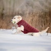 image:imageLelepet Reversible Dog Coat Windproof Dog Puffer Jacket Lightweight VestWine Red