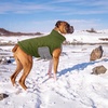 image:imageLelepet Warm Dog CoatWaterproof Dog Winter JacketAdjustable amp ReflectiveArmy Green