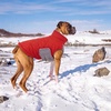 image:imageLelepet Warm Dog CoatWaterproof Dog Winter JacketAdjustable amp ReflectiveRed