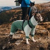 image:imageLelepet Waterproof Dog Coat with Harness Full Body Jacket for DogsGreen