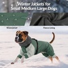 image:imageLelepet Waterproof Dog Coat with Harness Full Body Jacket for DogsGreen