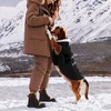 image:imageLelepet Waterproof Dog Coats Winter Dog Jacket with Harness Red LBlack