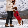 image:imageLelepet Waterproof Dog Coats Winter Dog Jacket with Harness Red LRed