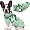 Mint Camo