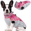 PIink Plaid