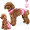 image:imageLelepet Dog Diapers Female Washable Reusable Dog in Heat Diaper L YellowPink