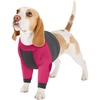 image:imageLelepet Dog Recovery Suit for Front Legs Dog Sleeve to Stop Licking Black LRose Red