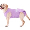 image:imageLelepet Dog Reusable Diapers Female for in Heat Incontinence Purple LPurple