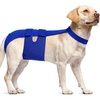 image:imageLelepet Female Dog Diapers for HeatEscapeProof Dog Diaper with SuspendersBlue