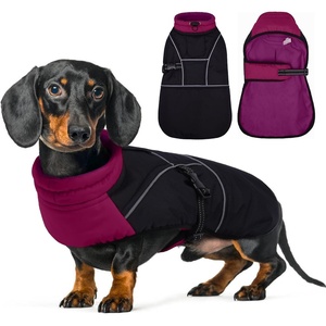 image:imageLelepet Dachshund Coat Waterproof Reflective Dog Coat for Small DogsPurple