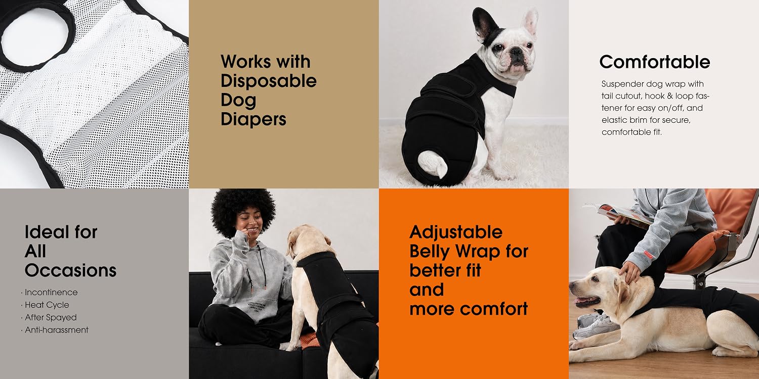 Shop LeLePet | Premium Pet Gear & Apparel,Bring More Comfort to Your Pet’s Life